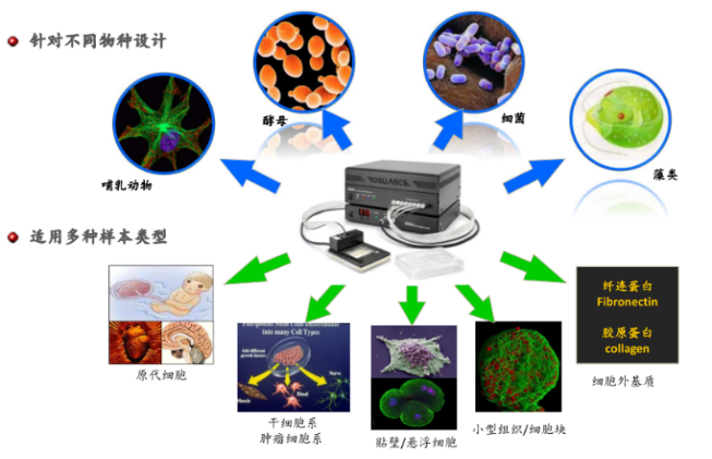 澳门开彩结果记录查询